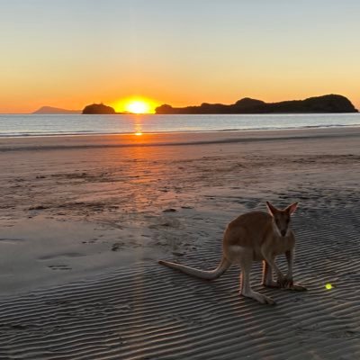 LaDiidzz's profile picture. 