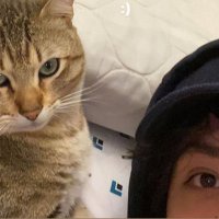 quackity as cats (@quackcats) 's Twitter Profile