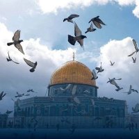 يزن الشعيبي خيال عابر في مرايا الليل (@yfim6zc) 's Twitter Profile
