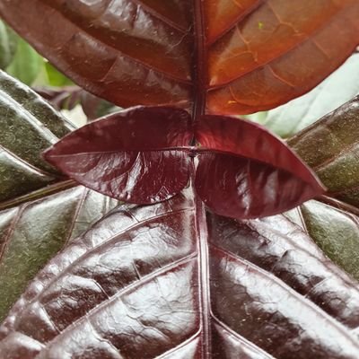 Palis84's profile picture. 