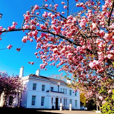 Northern Ireland's first Garden Village (1949) - a conservation area, with stunning heritage and cherry blossoms, and a place with a strong sense of community