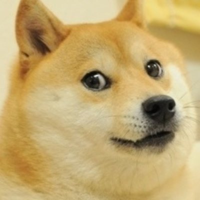 GamlngDoge's profile picture. TURBO PISS