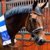 Nicolle Begovicโs Horse (@clu3lessrobert) Twitter profile photo Nicolle Begovicโs Horse (@clu3lessrobert) Twitter profile photo