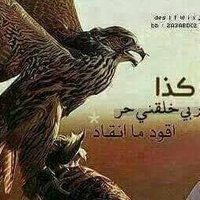 ESSAM 🇾🇪 (@4_es_) 's Twitter Profile