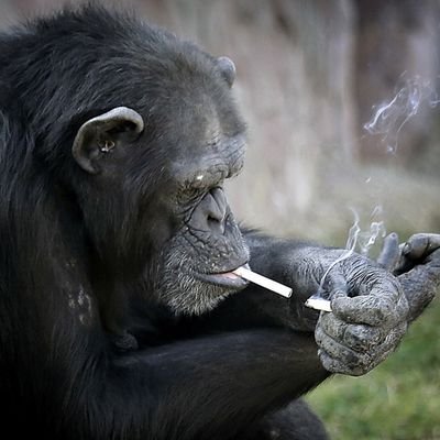 Petya44212326's profile picture. Go