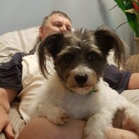 Bobi Magee (@bobi_magee2) 's Twitter Profile Photo