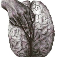 PsicólogaSenxsual (@lapsicologasexy) 's Twitter Profile Photo