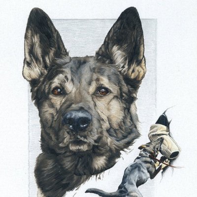 Security dog handler based in Yorkshire. Dad to two working gsd Rocco and arya
