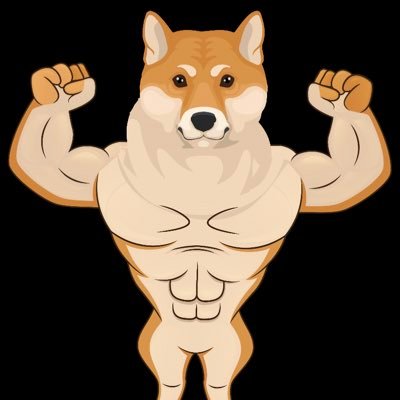 AlphaShibaInu's profile picture. #ALPHASHIB