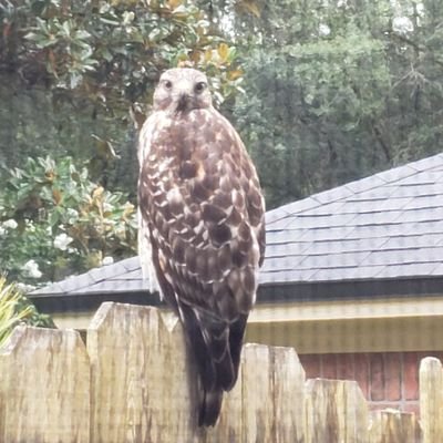 KeithJ904's profile picture. 