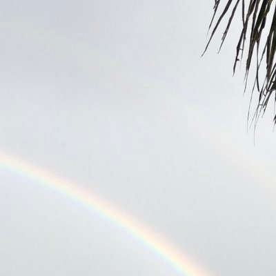 lmm1390's profile picture. 