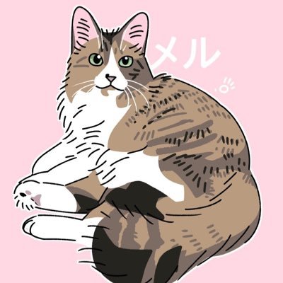 merukokocat Profile Picture