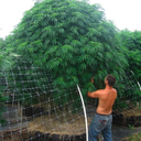 zakk william baker - @420LimoTours - Twitter