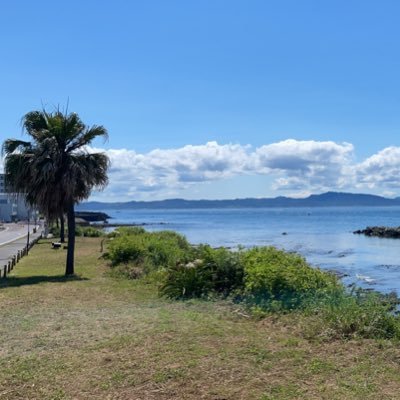 MsproSup's profile picture. 横須賀野比海岸を中心に三浦半島でSUPスクールを開催してます。初心者でも大歓迎です。お気軽にお声がけ下さい。