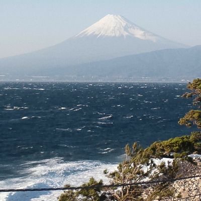 sugoroku_jawz's profile picture. 好きなのは、競馬とﾅﾝﾊﾞｰｽﾞ4