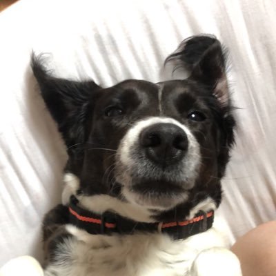 :)