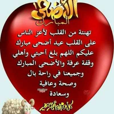 Saidala70492309's profile picture. 