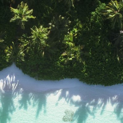 NajlaAlshargi's profile picture. لمن ستتركني؟ للحزن يغرقني أم للحنين إذا شبّتْه ذكراهُ ،،،خذني إليك وخذ ماشئتَ من عُمُري إلا الرحيل، فإني لستُ أقواهُ..!