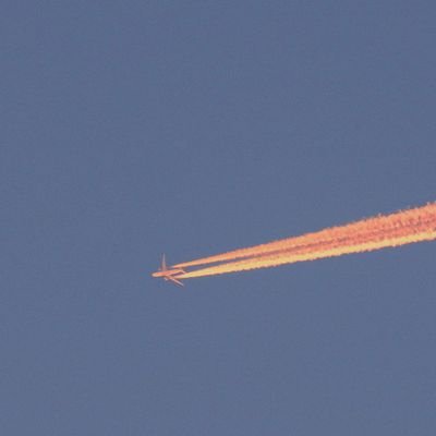 yellowblueredde's profile picture. 2 decades + some change y/o | black | cptsd | autistic&adhd | collectively xe/xyr or they/them | dissociative, would like no part of the syscourse