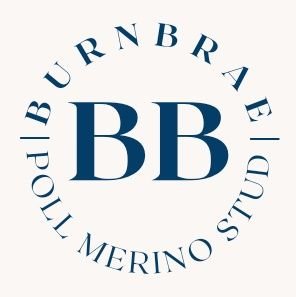 Burnbrae Poll Maternal Merino Stud Profile