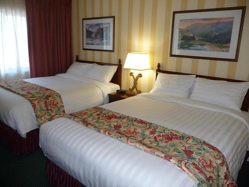 52 Room Hotel. Located in Victoria BC.  2898 Douglas St.
250 386 1000 or call us toll free at 1 888 546 1886