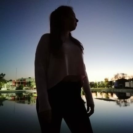 Soy vegana y activista por los animales, bailarina, desenmaraño ideas atrofiadas en terapia, a veces escribo y mi mayor sueño en la vida es ser feliz.