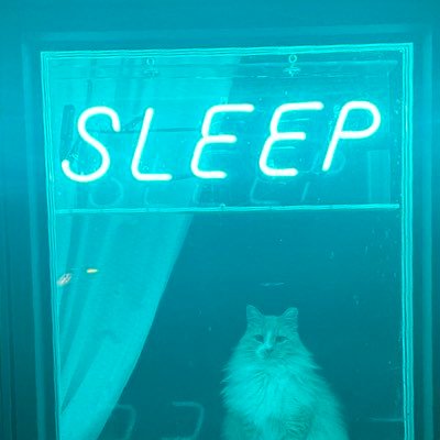 nonogno's profile picture. He/Him - Trail Blazers fan