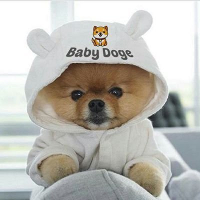 @BabyDogeCoin thịnh hành và giá trị nhất mọi thời đại