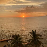 HaolePino (@pinohaole) 's Twitter Profile