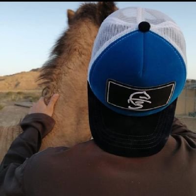 d5DqULb8ZexJgmT's profile picture. 