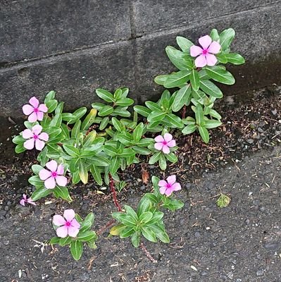 どんなときも自分らしくが信条です😁