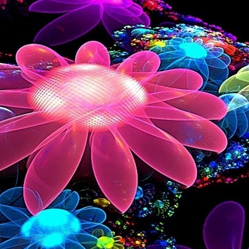 tanpopopo_n's profile picture. 