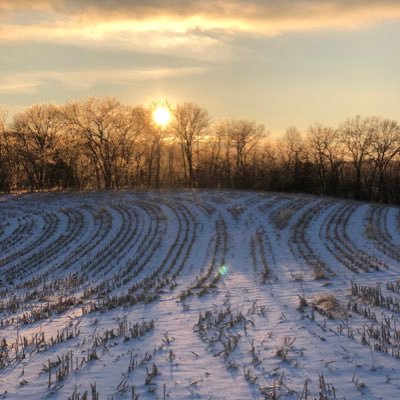 learntotrade100's profile picture. 