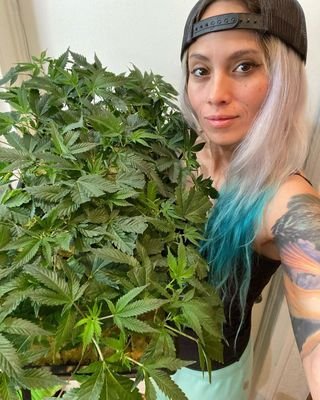 medical marijuana Farmer #Do more but talk less.
SnapChat....ashleyb6202
Wickr....hansnicole101
Contact....+17174015210