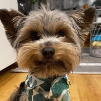 Mateusz Spysiński (@mspysinski) 's Twitter Profile