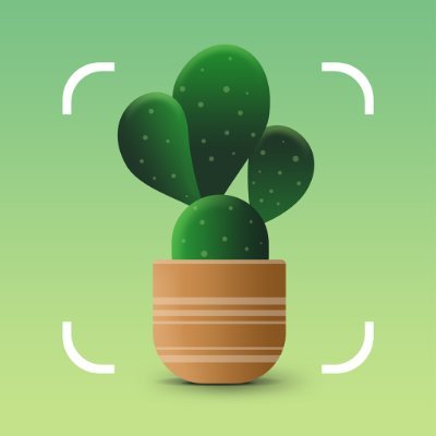 🌵 Identify any plants, set care reminders, care and treatment tips with NatureID
🌳 10,000+ plants to identify
🌟 Choice of 630K user