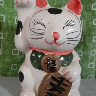 kyouichiyutakamoriさんのプロフィール画像