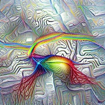 Amplifying the voices of neurodivergent computer science researchers