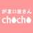 chocho_flower