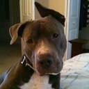 Dakota Powers - @huh34 - Twitter