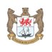 Penarth Cricket Club (@penarthcricket) Twitter profile photo