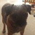 gaynor (@gaynor49804280) Twitter profile photo gaynor (@gaynor49804280) Twitter profile photo