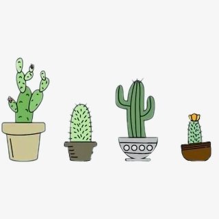 cuwin_lina's profile picture. 