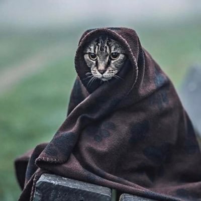 綺麗になりたいのに無駄なプライドが邪魔をする。好きになりたいのは自分。政治思想は国益最優先の保守派です。
