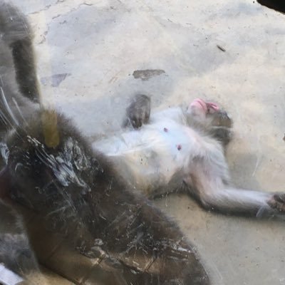 kochan_loft's profile picture. 広告媒体と代理店の運営をしています。ビジネスの基本は「人を喜ばすこと」！オーナー様と一緒に「WINWIN」で成長したい！気軽にDMください～