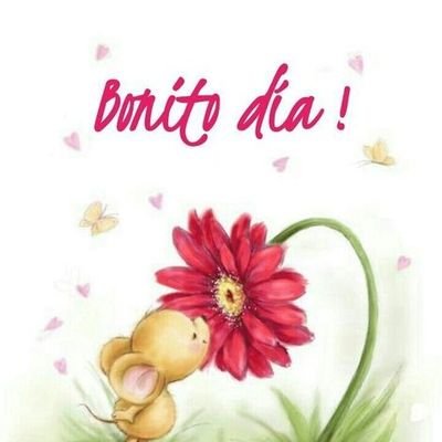 negritas2169's profile picture. 