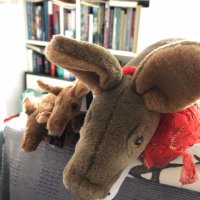 Ethel Aardvark at Aardvark Books(@AardvarkEthel) 's Twitter Profile Photo