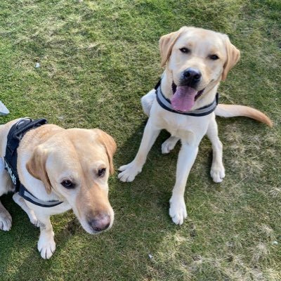 toonfan34's profile picture.