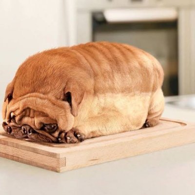 Tinapayさんのプロフィール画像