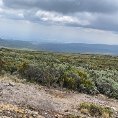 unionfan19's profile picture. Interests in politics, military, leadership and rugby union 🏉 all views are my own.